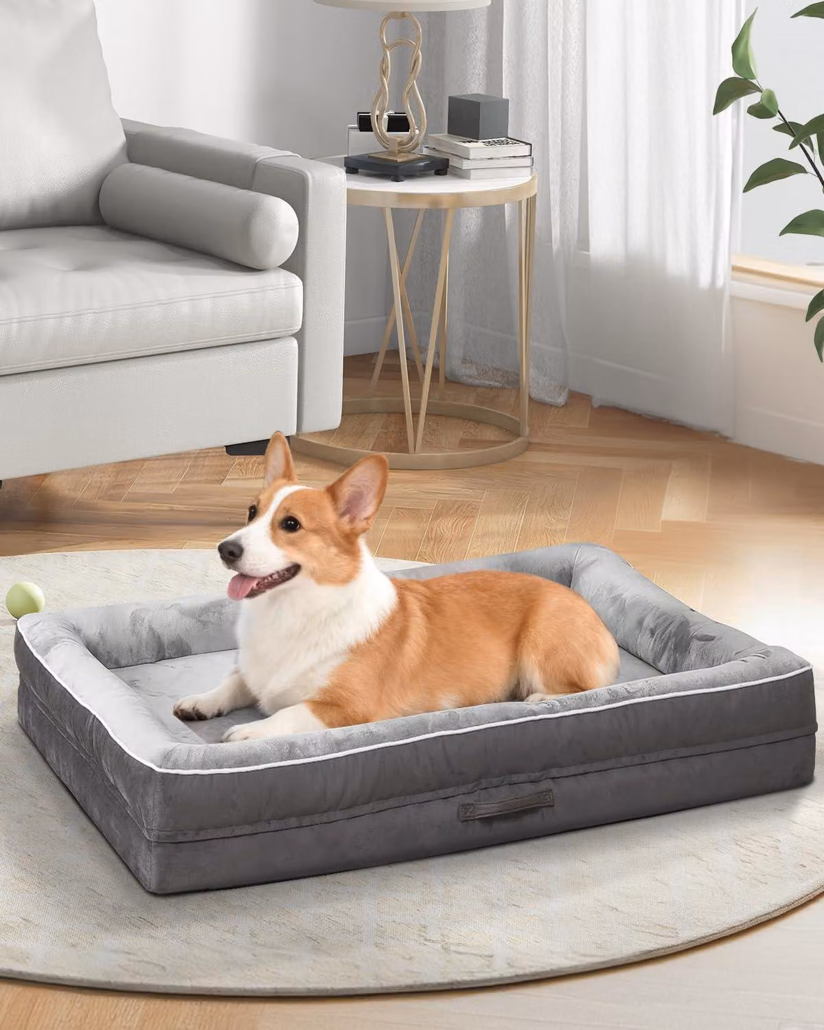 Cuccia ortopedica per cani, grande, impermeabile, realizzata in schiuma viscoelastica, con rivestimento removibile, antiscivolo, di colore grigio, per uso interno