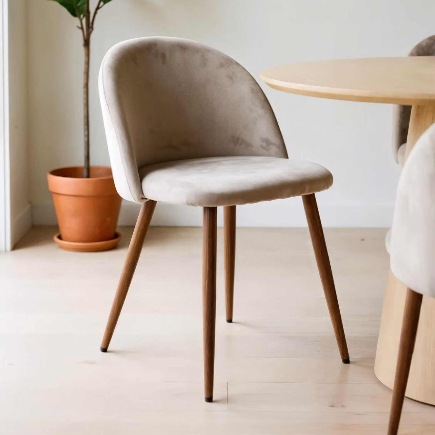Sedie per sala da pranzo NAVIA set di 2, grigio chiaro - sedie con tessuto velour e seduta imbottita, sedia con robuste gambe in metallo, mobili per sala da pranzo dal design moderno [carico massimo 150 kg]