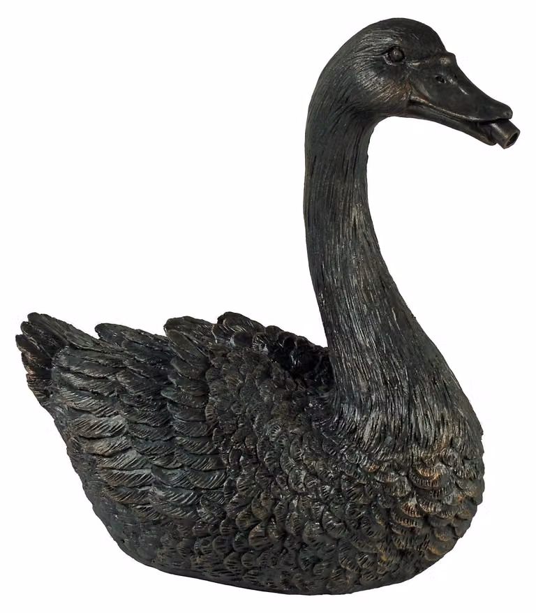 Cigno urlatore di Ubbink