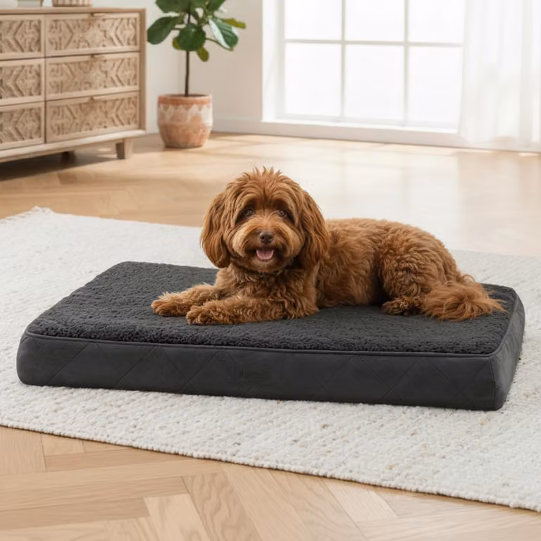materassino per cani belviona, materassino morbido e stabile con rivestimento lavabile, 76x51x8 cm, nero