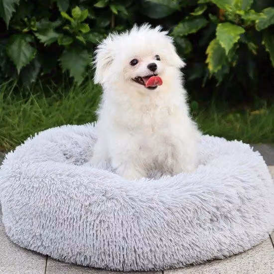 Cuccia per cani di taglia media 70 cm, morbido cuscino in peluche, lavabile e antiscivolo, ideale per cani di taglia media e grande e gatti, grigio