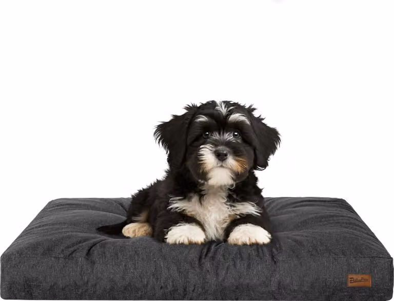 Materasso per cani "Grand Light" - 75x50cm - Cuccia idrorepellente - Rettangolare - Outdoor & Indoor | PillowPrim