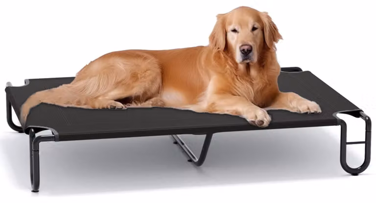 Cuccia rialzata per cani - XL, nera - 122x85x20 cm - Materiale: rete - Adatta per interni ed esterni - Cesta per cani portatile