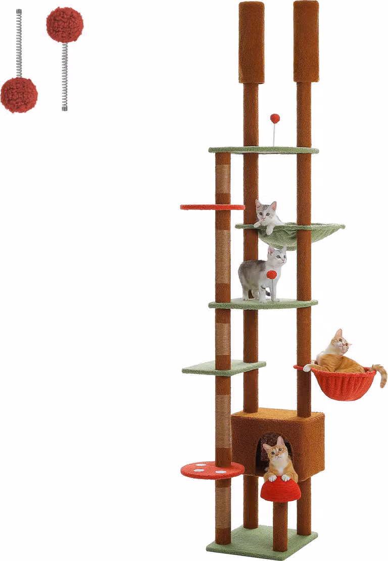 Albero per gatti da terra a soffitto, altezza regolabile 230 cm-252 cm, robusta struttura in legno, AMT0249Bn, Xl