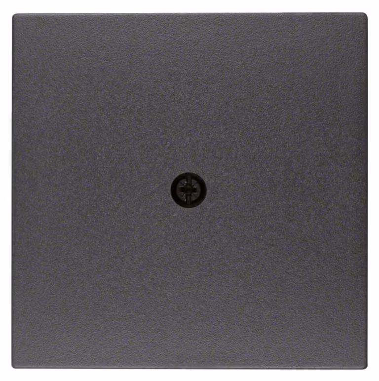 Piastra centrale Berker 10191606