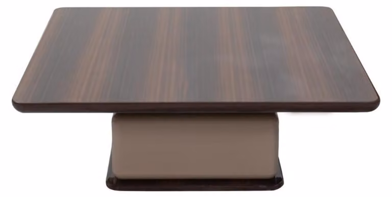 Eleganter Couchtisch Wohnzimmertisch Designer Holztische Möbel