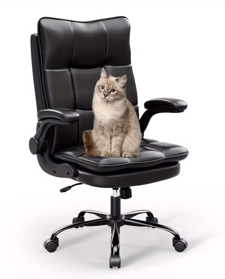 Sedia da gaming – Sedia da ufficio – Design ergonomico – Poggiatesta e supporto lombare regolabili – Colore nero