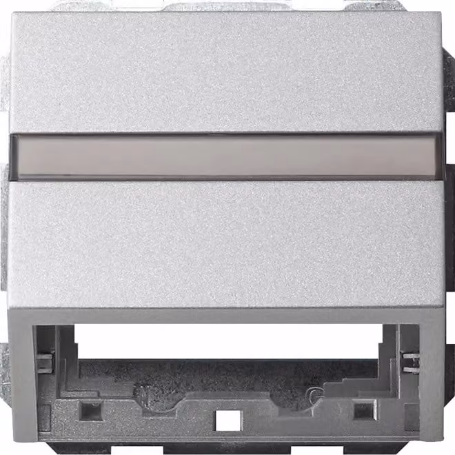 Copertura dati GIRA 087026 BSF+anello di supporto Sistema 55 alluminio (087026)