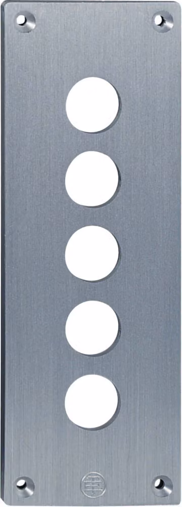 Schneider Electric pannello frontale XAPE305