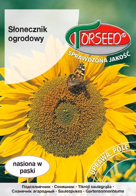 Girasole commestibile Girasole da giardino 10g