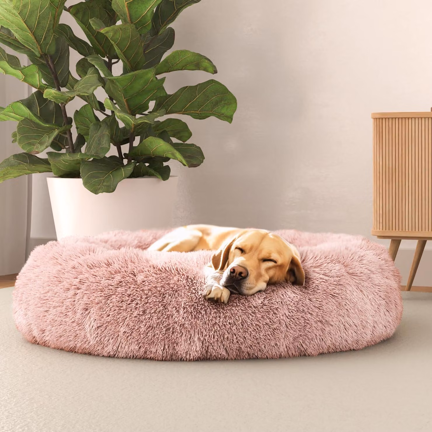 Lenzuolo per letto italiano, cuccia per cani "Dreams", sogni e capricci, animali domestici, rosa, 70x70 cm