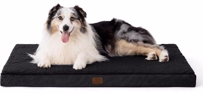 Cuccia ortopedica per cani, 104x74x9 cm, morbida, lavabile, nera, taglia L