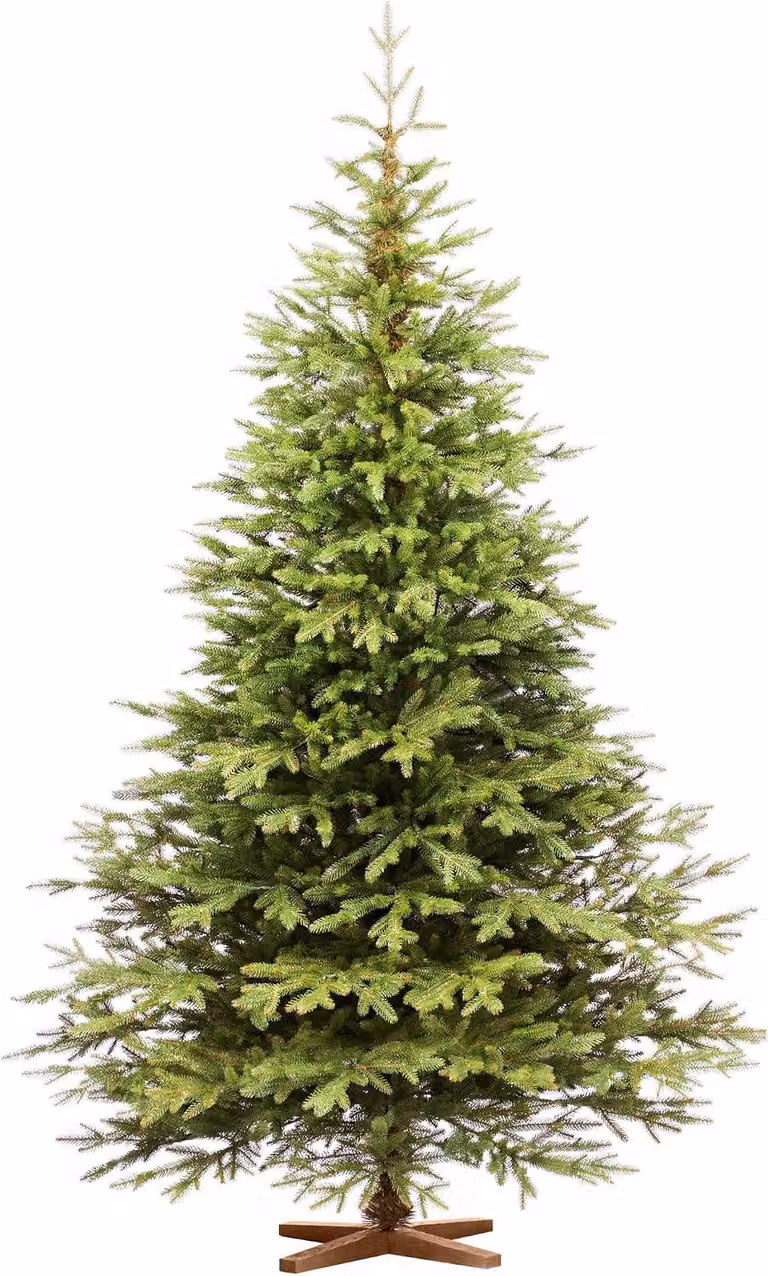 FAIRYTREES Albero di Natale 250 cm Nordman Esclusivo 100% PE | Elementi naturali realizzati ad iniezione| in UE | albero con supporto in legno di frassino fatto a mano