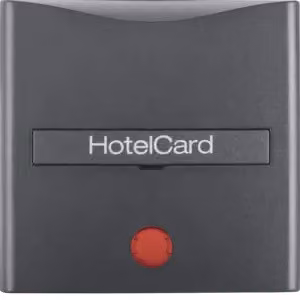 Berker 16401606 Coperchio per interruttore Hotelcard con impronta e lente rossa antracite, opaco Berker B.3/