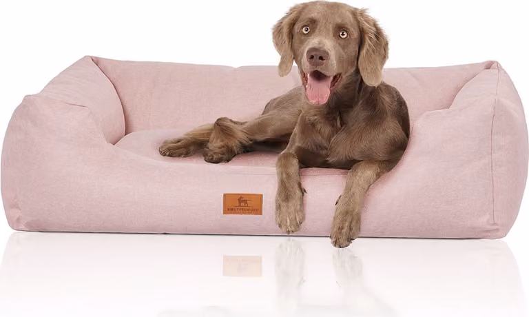 Lettino per cani Emma in velluto in colori pastello XXL rosa