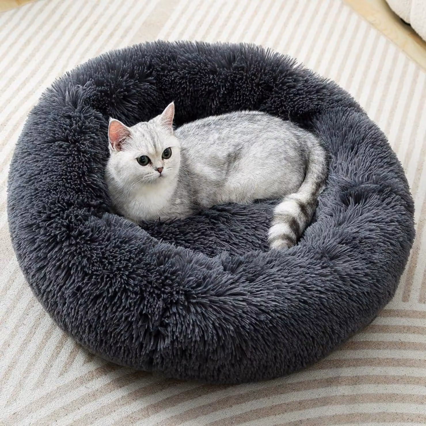 Cuccia rotonda per gatti, tipo "donut", adatta anche per cani di piccola taglia, dimensioni 40x15 cm, peso massimo supportato 4 kg
