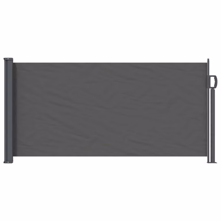 Tenda laterale retrattile vidaXL in poliestere e acciaio, colore grigio antracite, L: 300 cm, H: 100 cm