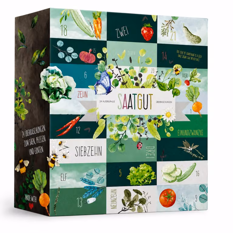 BOXILAND® calendario avvento semi 2026, 24 tipi, verdure erbe frutta fiori