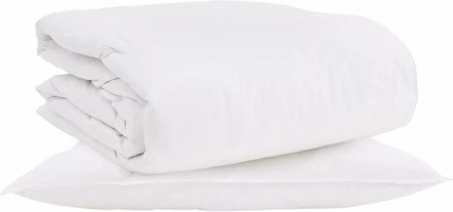 Set Piumone 2-in-1 DESIGN IN Bianco con 2 Cuscini in Piuma d'Anatra e Cotone Traspirante per Adulti