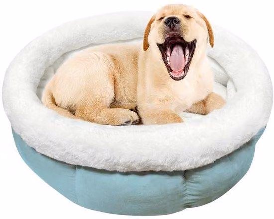 Lettino in peluche per animali domestici, azzurro, 50 x 50 x 20 cm