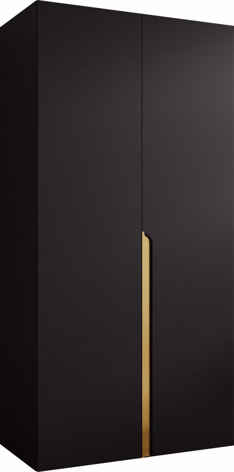 MIRJAN24 Armadio Mila 1 100, camera da letto, armadio, con due ante a battente e asta appendiabiti, moderno, armadio guardaroba (colore: nero + oro)