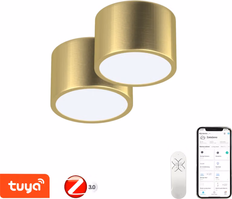 Immax NEO set 2x RONDATE Plafoniera intelligente 15cm 12W oro Zigbee 3.0 +DO