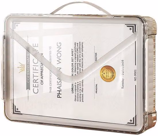 Scatola portaoggetti trasparente in formato A4 con maniglia e organizer da viaggio per certificati, libri e documenti