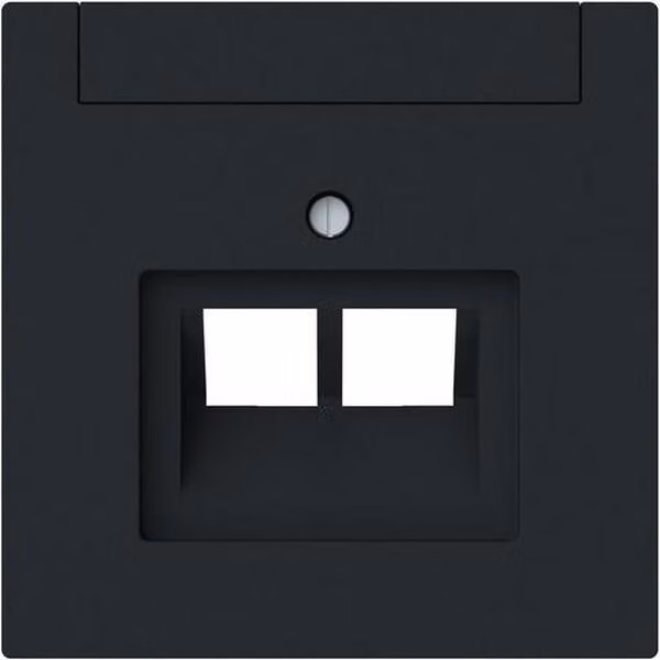 Busch-Jaeger Piastra centrale 2-gang, UAE 1803-02-45M 2CKA001710A4230