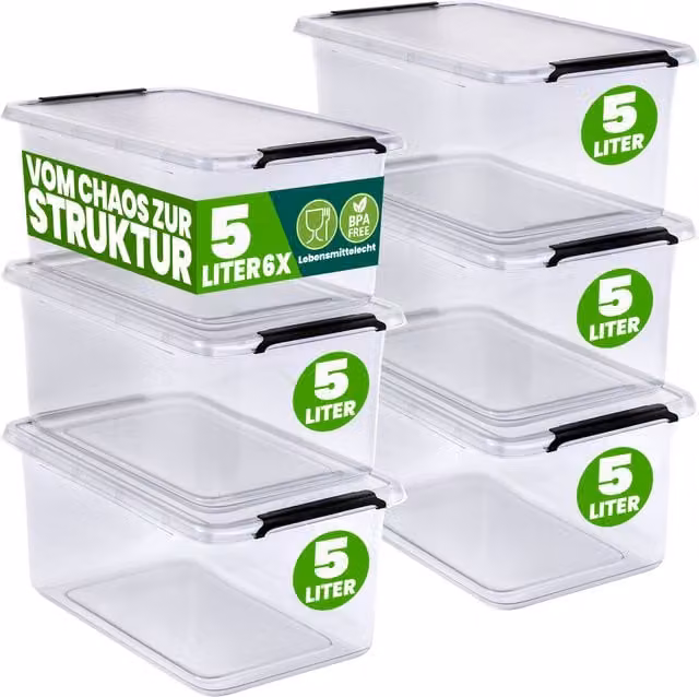 Set di 6 scatole portaoggetti DEUBA in plastica trasparente con coperchio a scatto, impilabili e lavabili in lavastoviglie, L: 30 cm, P: 20 cm, H: 12 cm