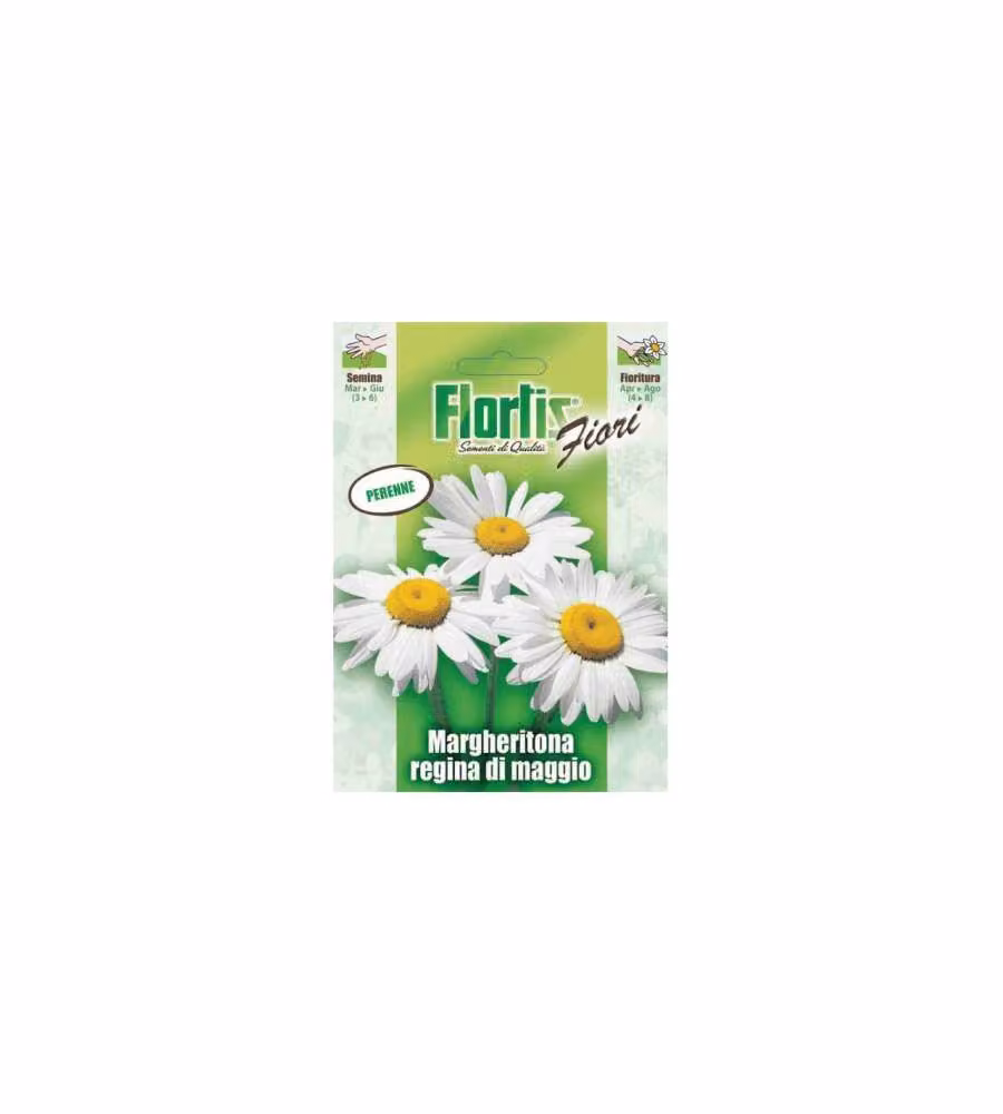 Flortis Semi Margheritona Regina di Maggio - Miscuglio perenne in bustina