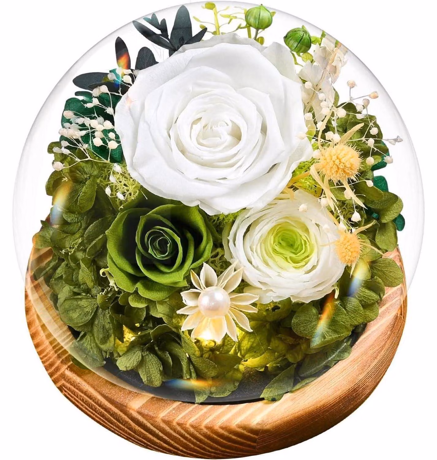 Rose "Ewige Infinity" in vaso con illuminazione | Fiori conservati con confezione regalo | Bianche | Decorazione e regalo