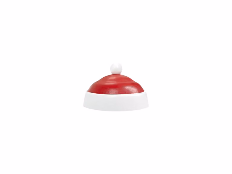Santa's Cappello per Baby Passero Oggetto Decorativo
