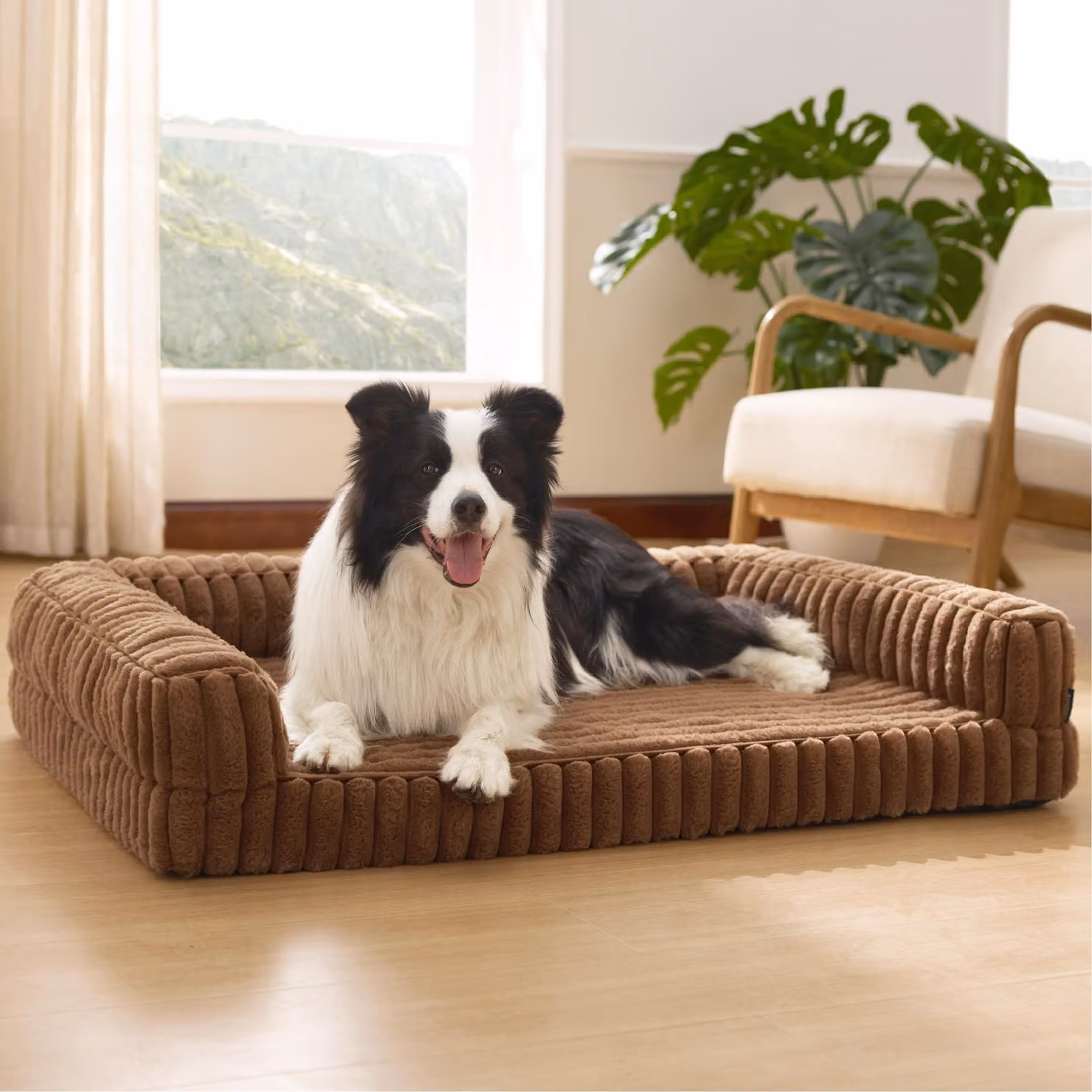 Omgoods - Cuccia ortopedica per cani, grande, 89x64x18 cm, con memory foam