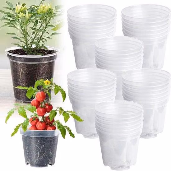 Vasi per erbe aromatiche in plastica, 30 pezzi - Vasi trasparenti per semi - 102 cm - Fori di drenaggio