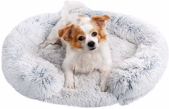 Cuccia ortopedica per cani, base rotonda antiscivolo, lavabile, taglia piccola-media