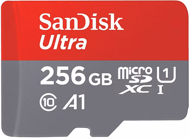 Scheda di memoria microSD SanDisk Ultra A1 da 256GB multicolore