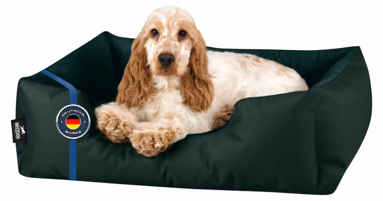 Letto per cani BedDog ZARA: cuscino per cani con rivestimento lavabile, cuccia per cani, divanetto per cani, BOTTLE-GREEN (verde scuro), (M) ca. 70x55x18 cm