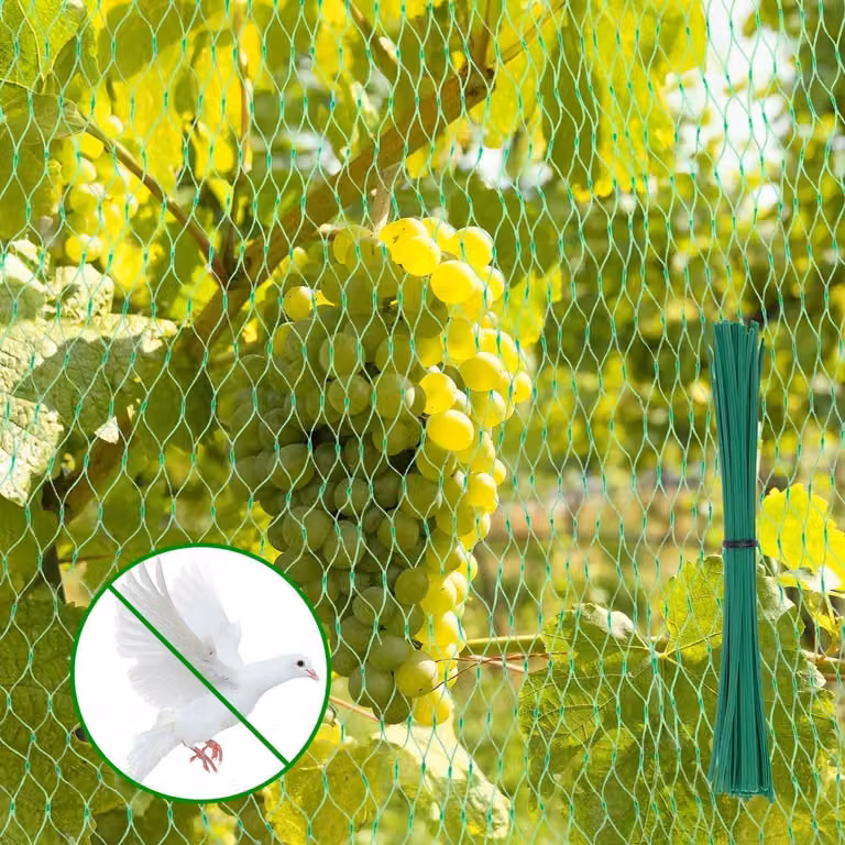 Rete di protezione per uccelli, maglia fitta, dimensioni 4x10 metri, colore verde