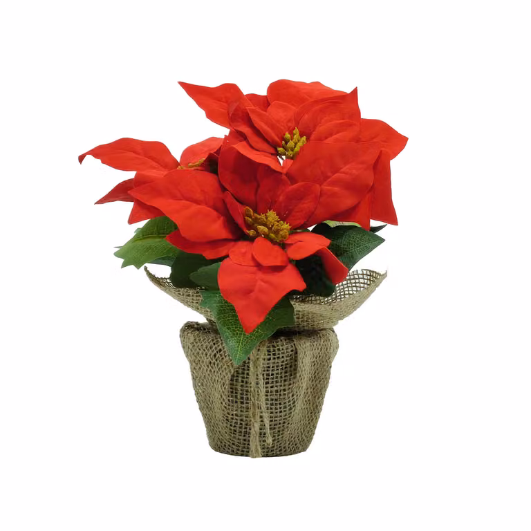 Pianta Natalizia Artificiale Stella di Natale Decorativa in Vaso VESTIAMO CASA, Colore Rosso e Verde, Altezza: 24 cm