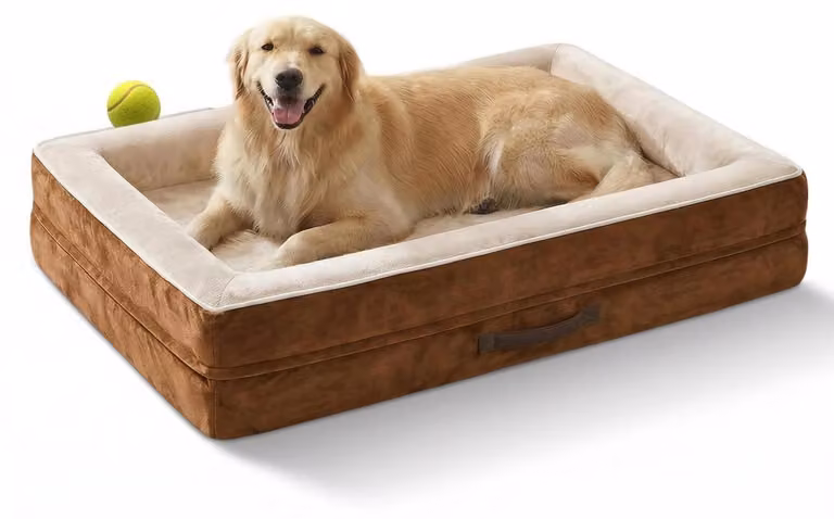 Cuccia ortopedica per cani, taglia XL, lavabile, colore marrone, dimensioni 117x76x19 cm