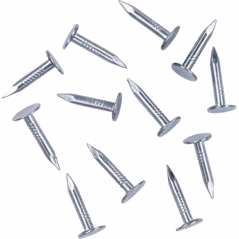 Chiodi per feltro bituminoso, acciaio zincato, testa bombata, 3 x 20 mm, confezione da 280 pezzi
