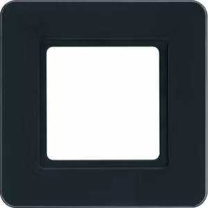 Berker 10116176, Nero, Vetro, Senza viti, Berker, Q.7, IP20