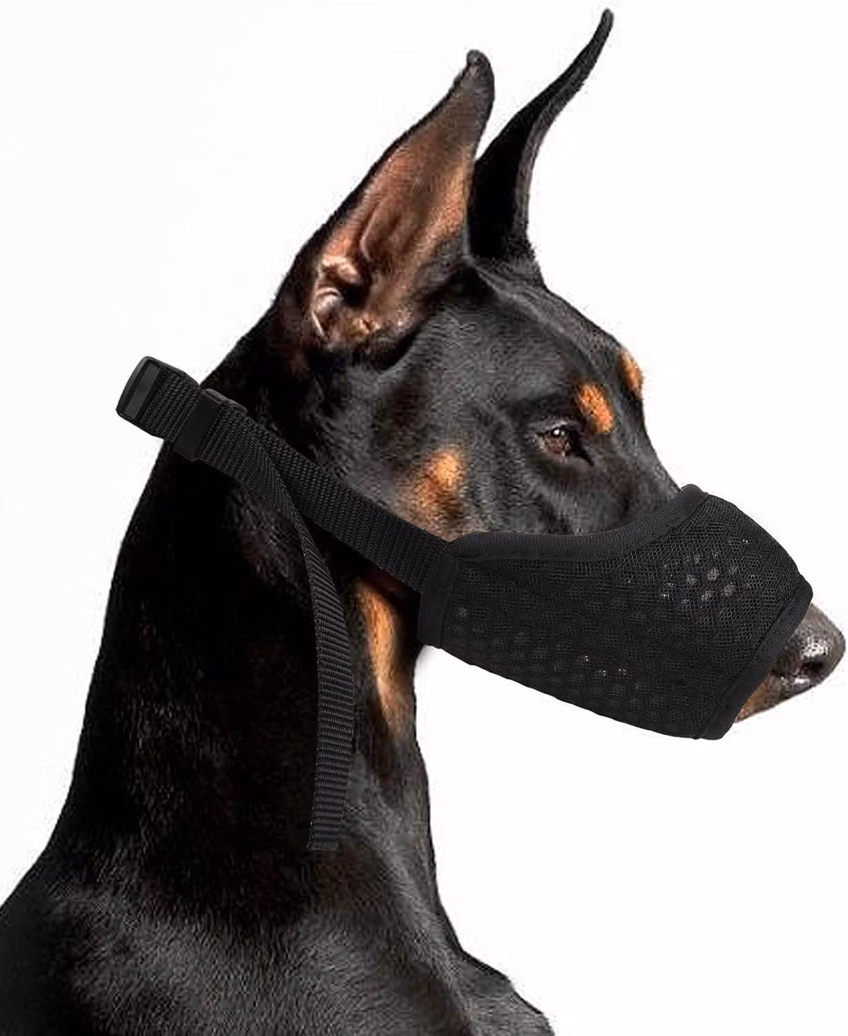 Museruola traspirante in mesh, regolabile, disponibile in diverse taglie, adatta a cani di piccola e grande taglia
