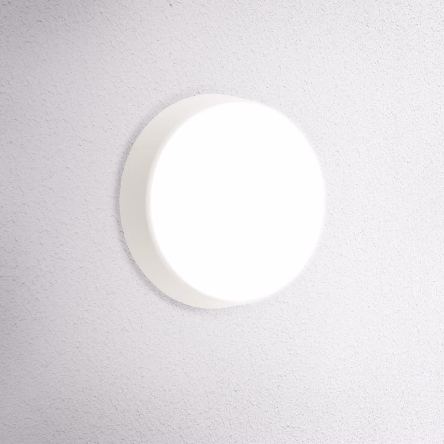 CENTURY Lampada da parete da esterno a LED rotonda OASI CCT 14W 3000/4000/6500K IP54 bianca