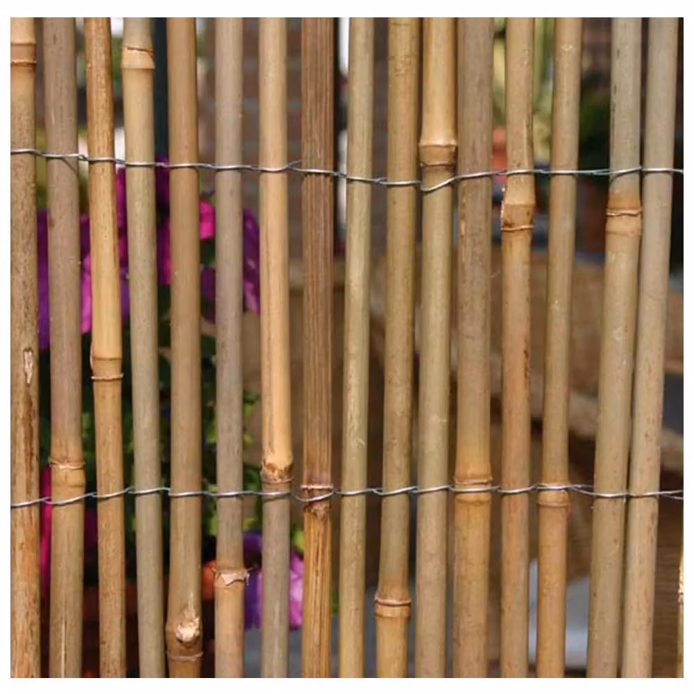 Arella in bamboo naturale marrone a canna grossa legata con filo di ferro Verdemax L: 300 cm, H: 200 cm – 2