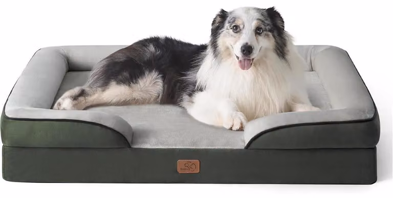 Letto ortopedico per cani, divano ergonomico per cani di 106x80 cm, realizzato con schiuma a celle chiuse adatto a cani di grossa taglia, lavabile, antiscivolo, color verde pino