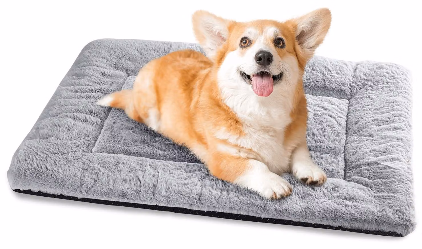 Cuccia per cani lavabile con base antiscivolo, dimensioni 75x50 cm