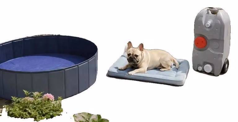 Serbatoio portatile per acqua, capacità di 40 litri, facile da pulire, colore grigio