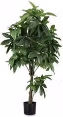 Pianta artificiale Pachira aquatica verde Altezza: 160 cm