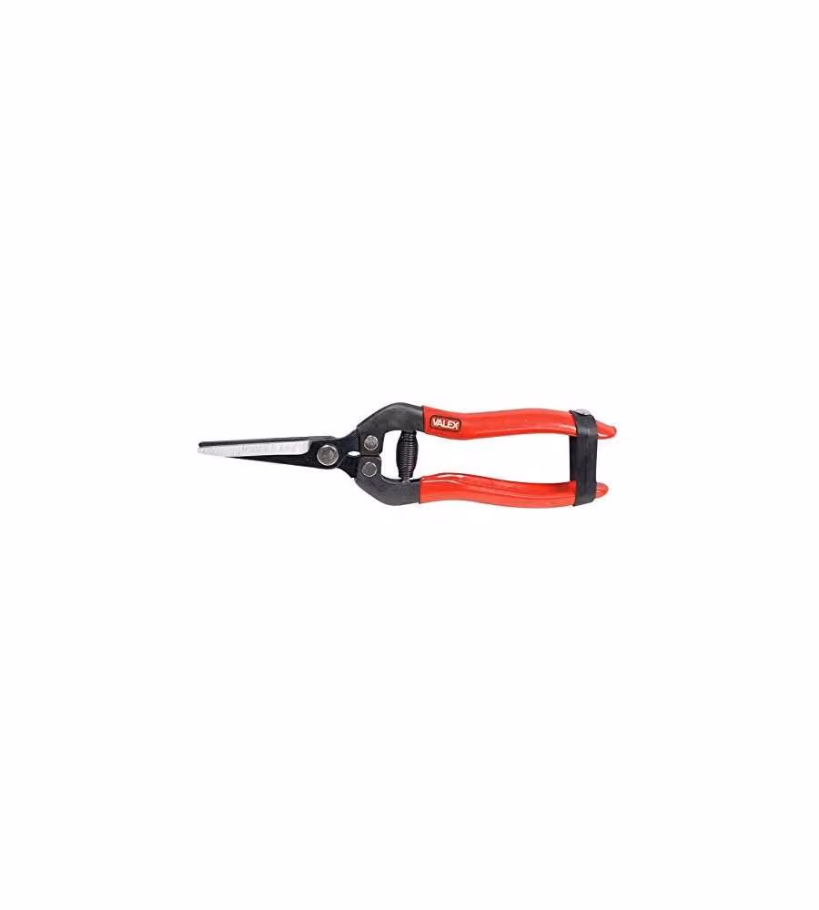 Valex Forbici per Fiori 190 mm Lame Dritte Acciaio Rivestito Gomma
